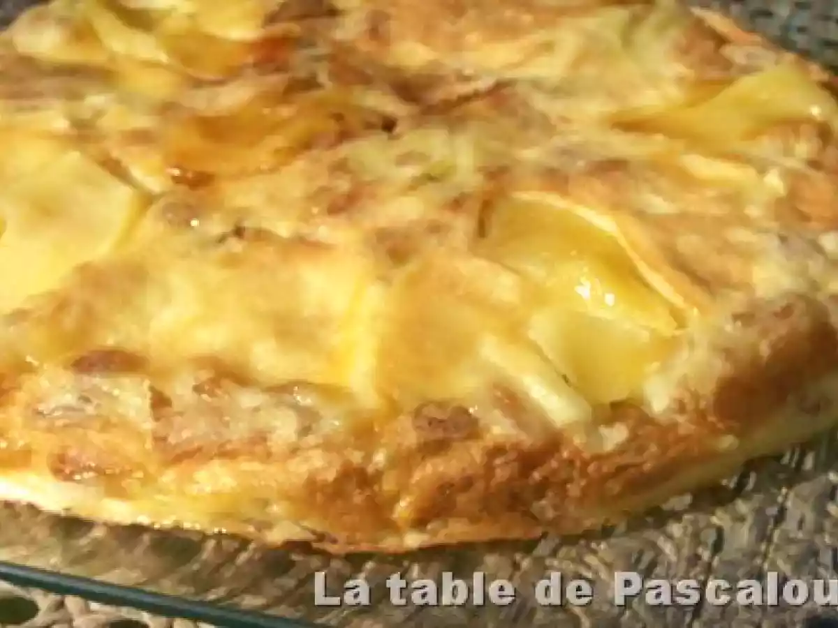 Flamusse aux pommes et raisins blonds - photo 2