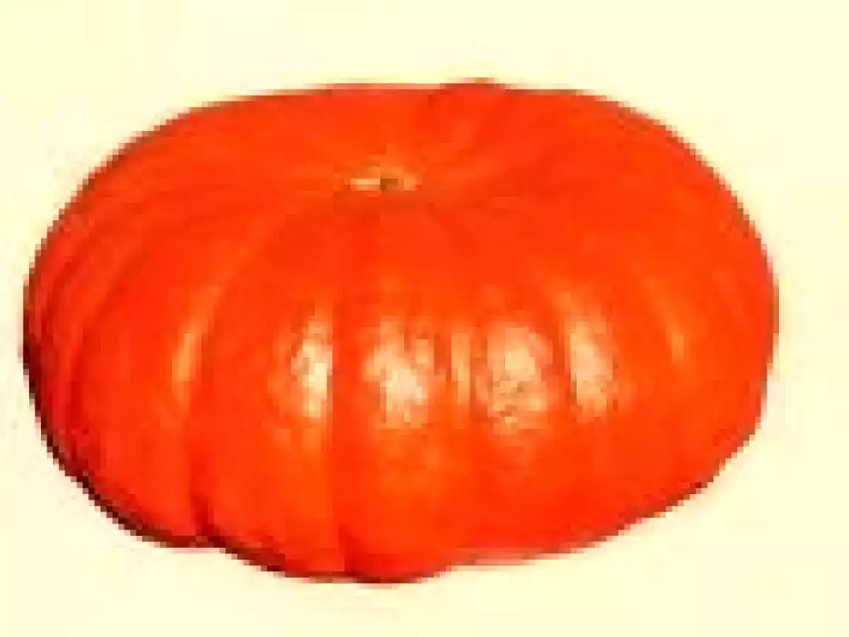 Flan de potiron au mascarpone - photo 2