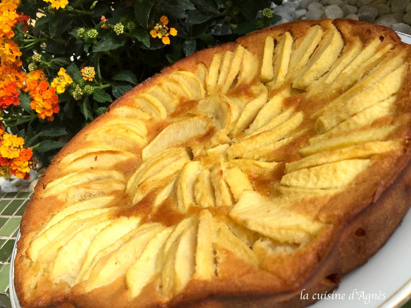 Flognarde aux pommes et au rhum Recette Ptitchef Flognarde aux pommes et au rhum Recette Ptitchef