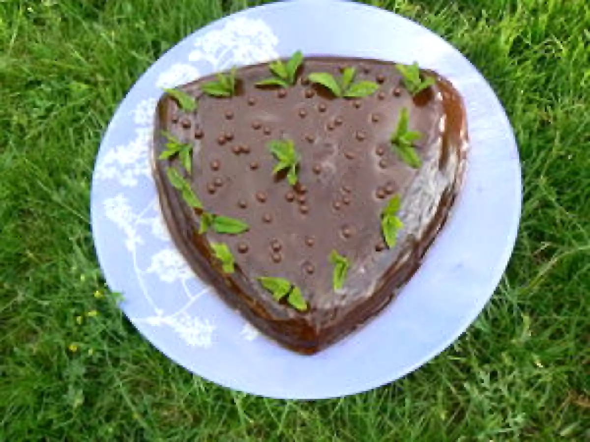Fondant chocolat-menthe - photo 2