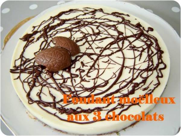 Fondant moelleux aux 3 chocolats de Nestlé