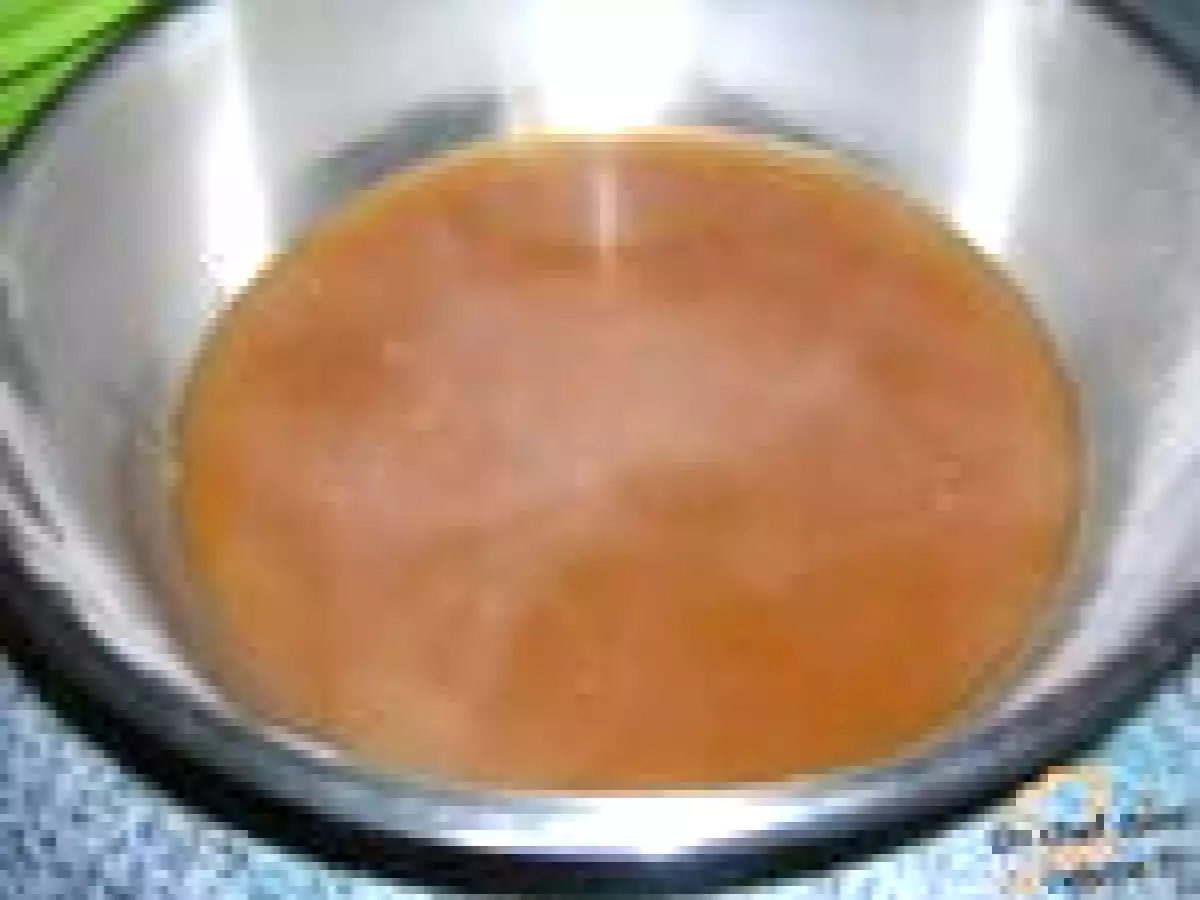 Fonds et Glace de Volaille - photo 3