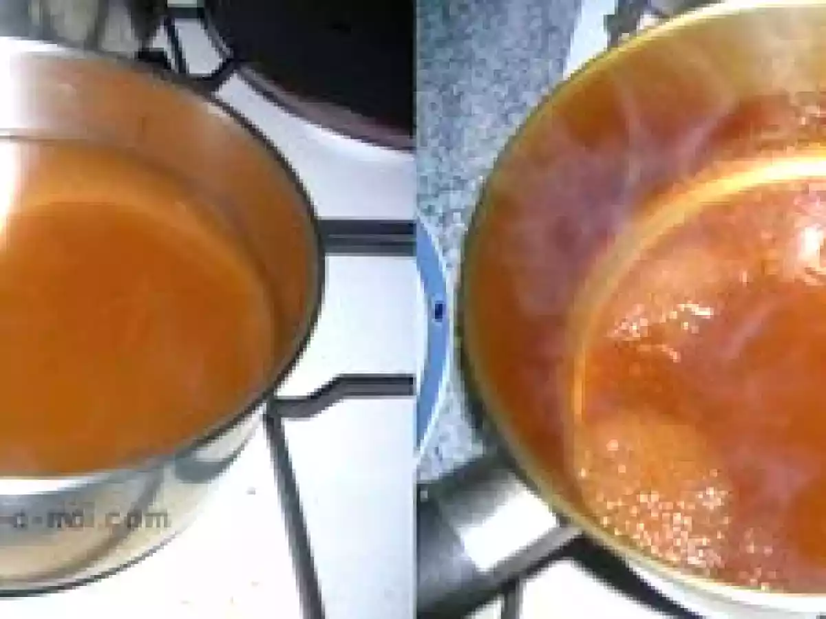 Fonds et Glace de Volaille - photo 8