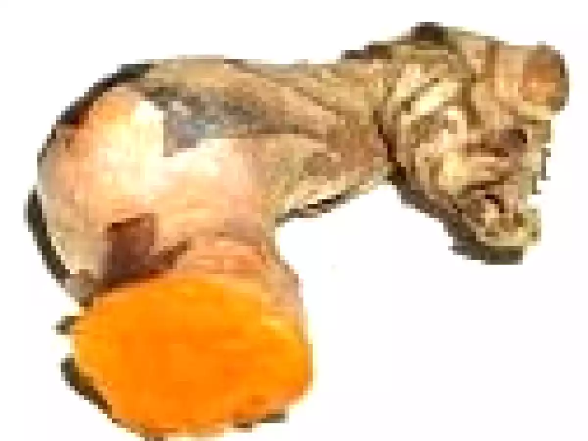 Fournée de thon germon et sa sauce combava curcuma - photo 4