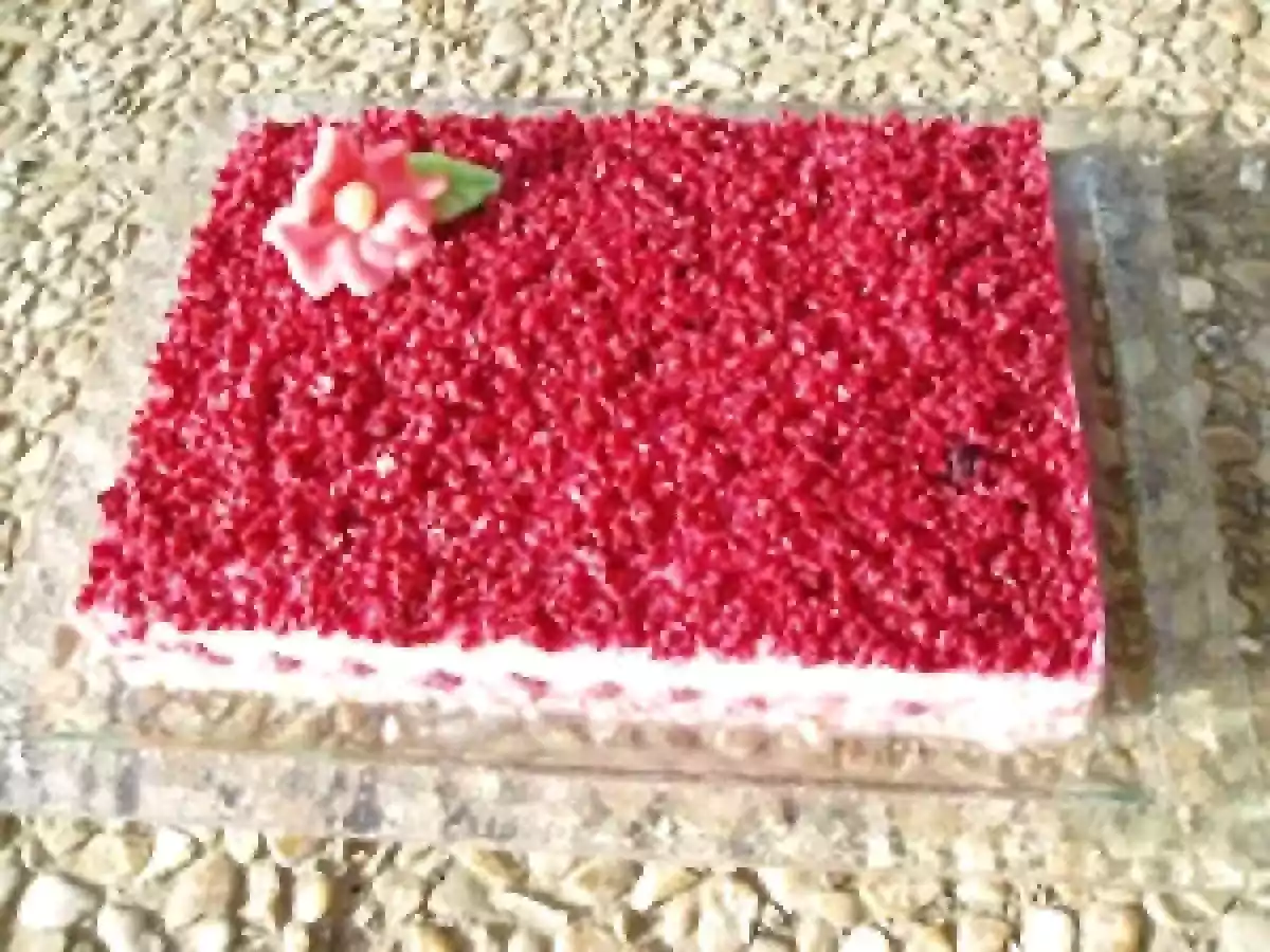 Framboisier des anniversaires