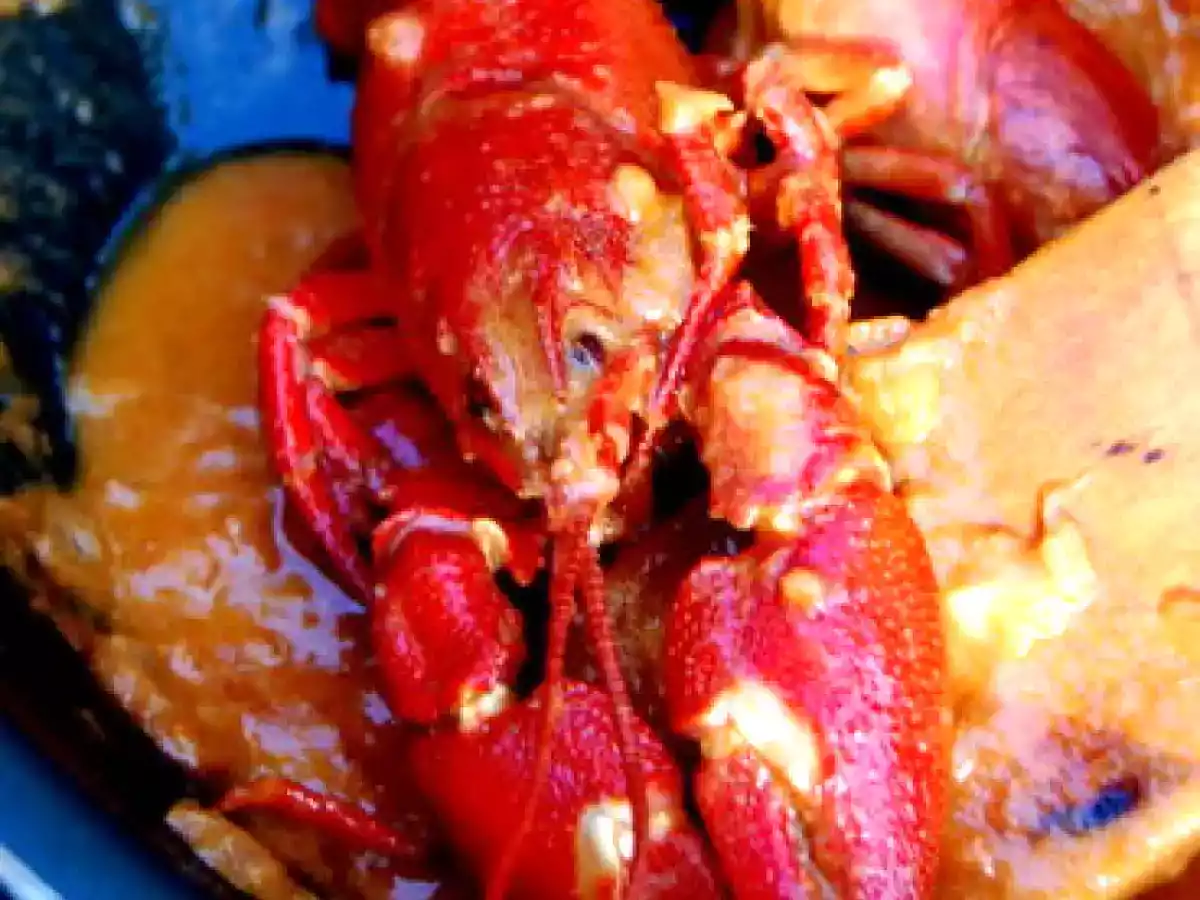 Fricassée d'écrevisses (et comment en arriver là...)