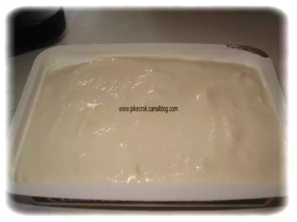 Fromage frais à tartiner maison en étapes !