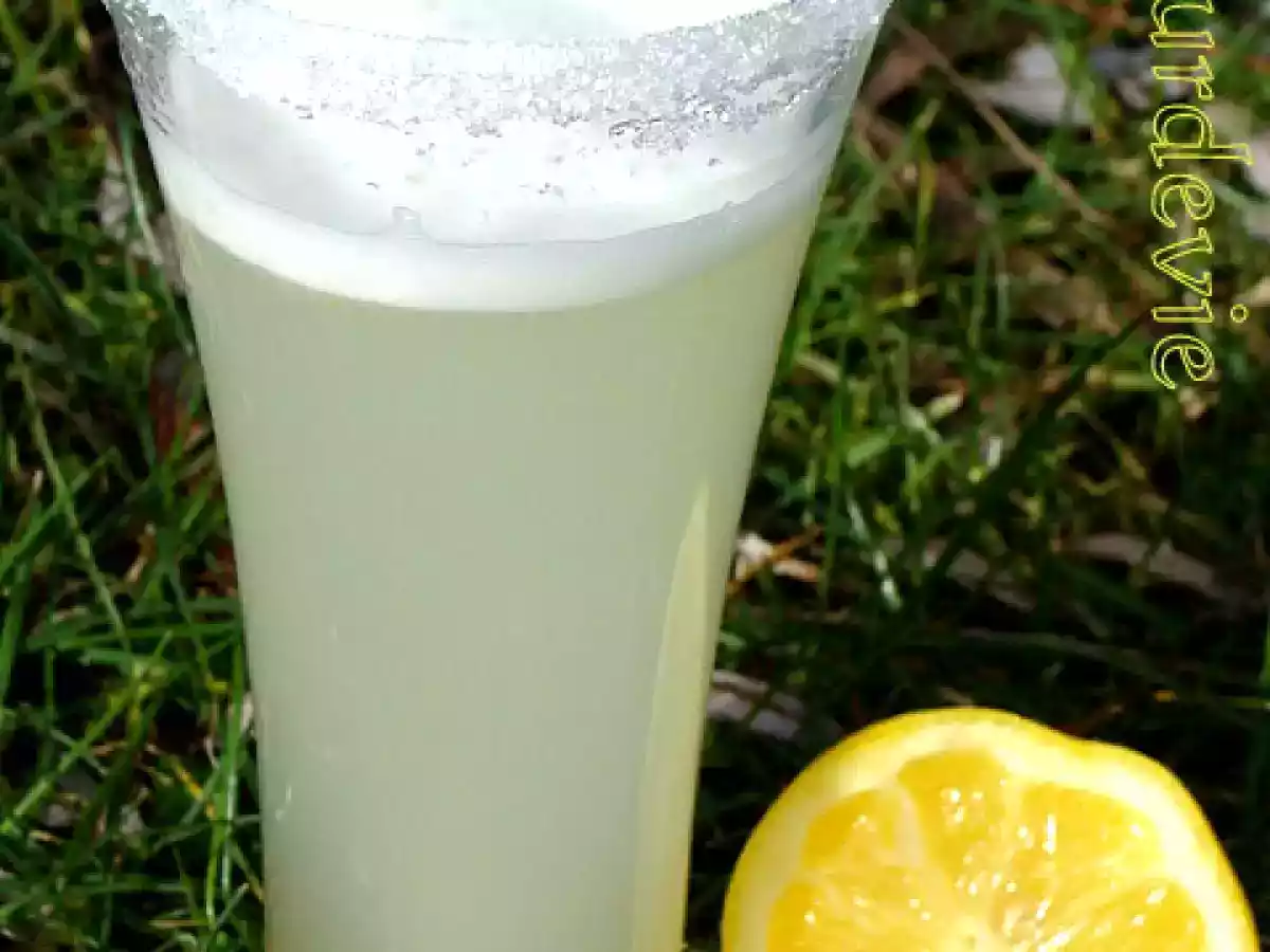 Fruité citron (boisson au thermomix)