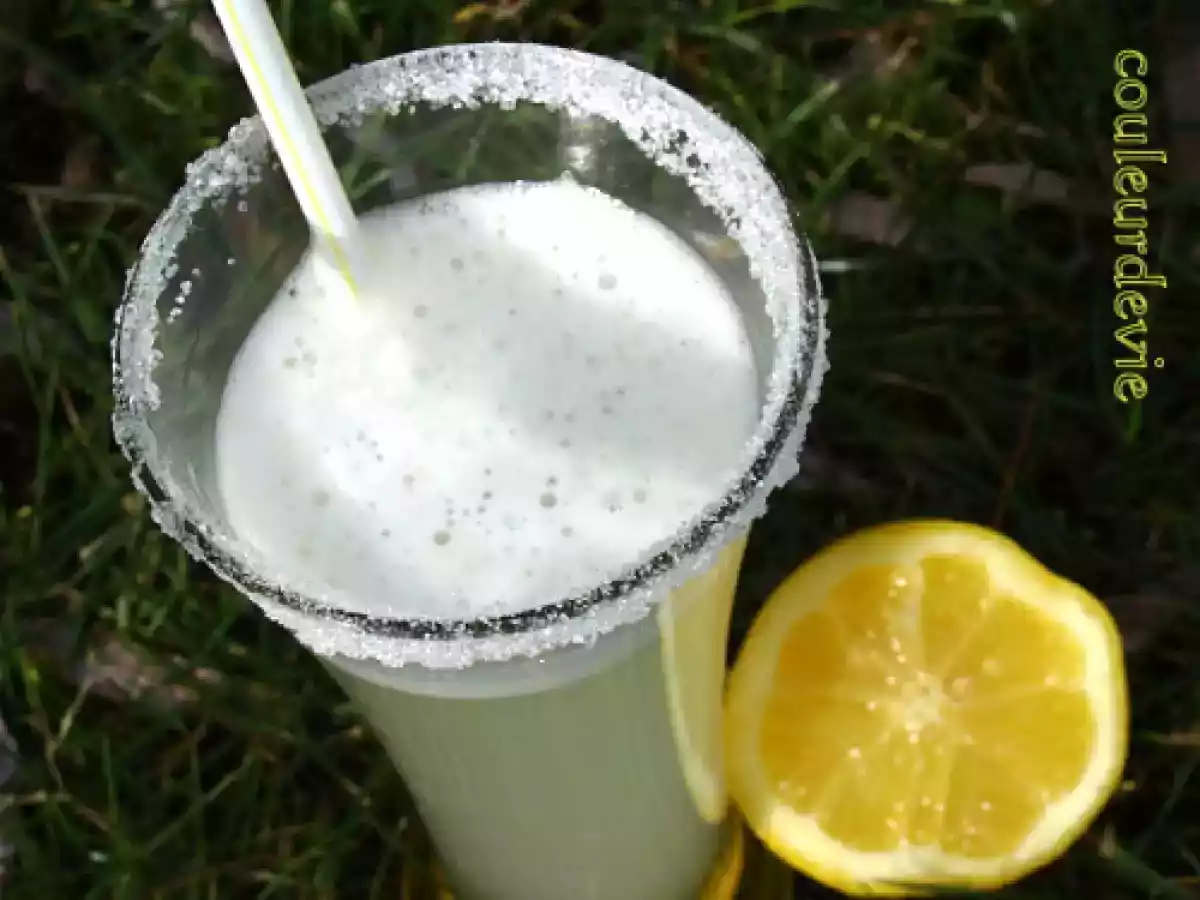 Fruité citron (boisson au thermomix) - photo 2