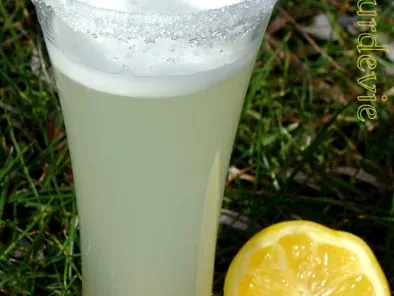 Fruité citron (boisson au thermomix)