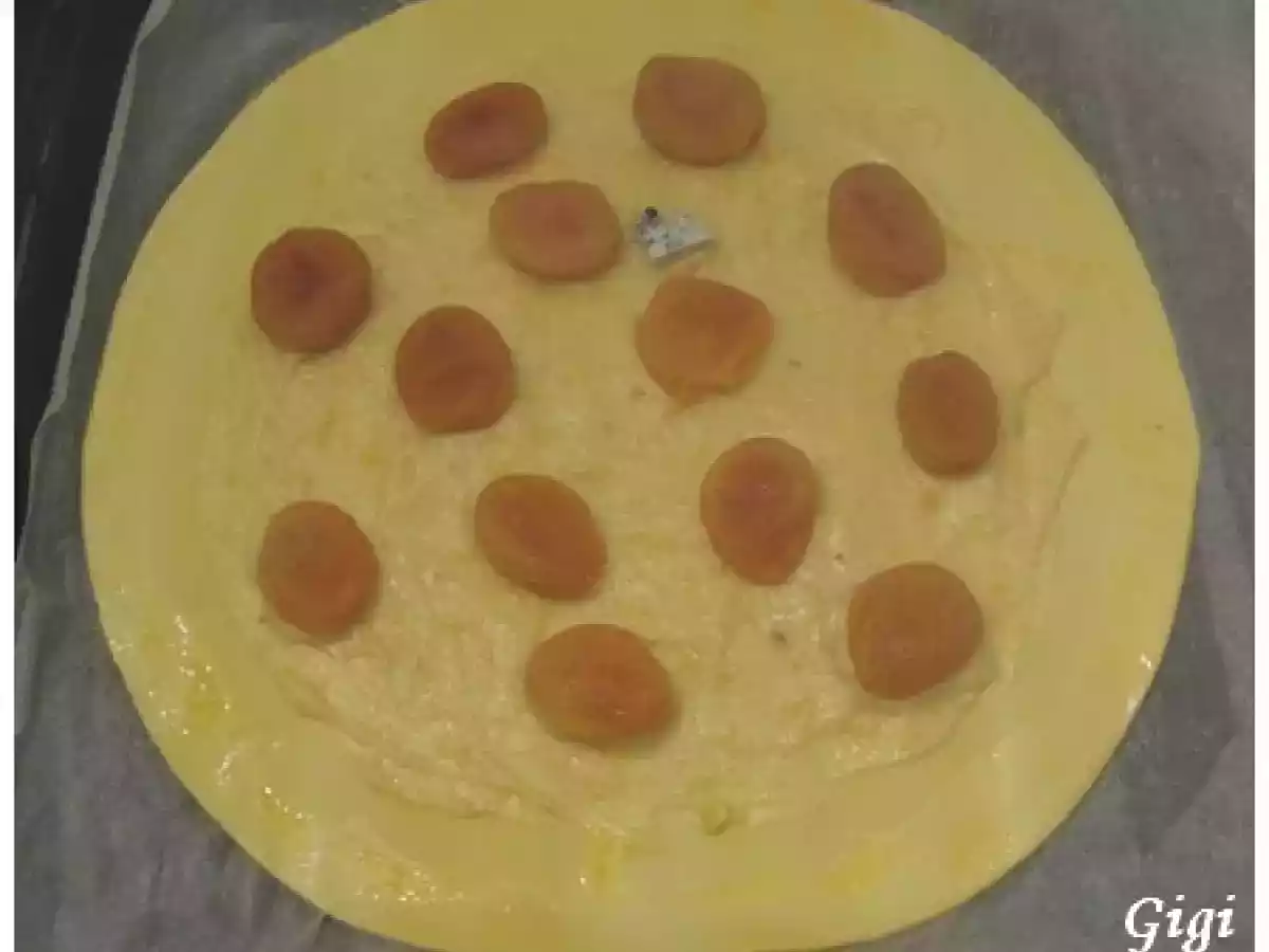 Galette aux abricots crème pâtissière - photo 3