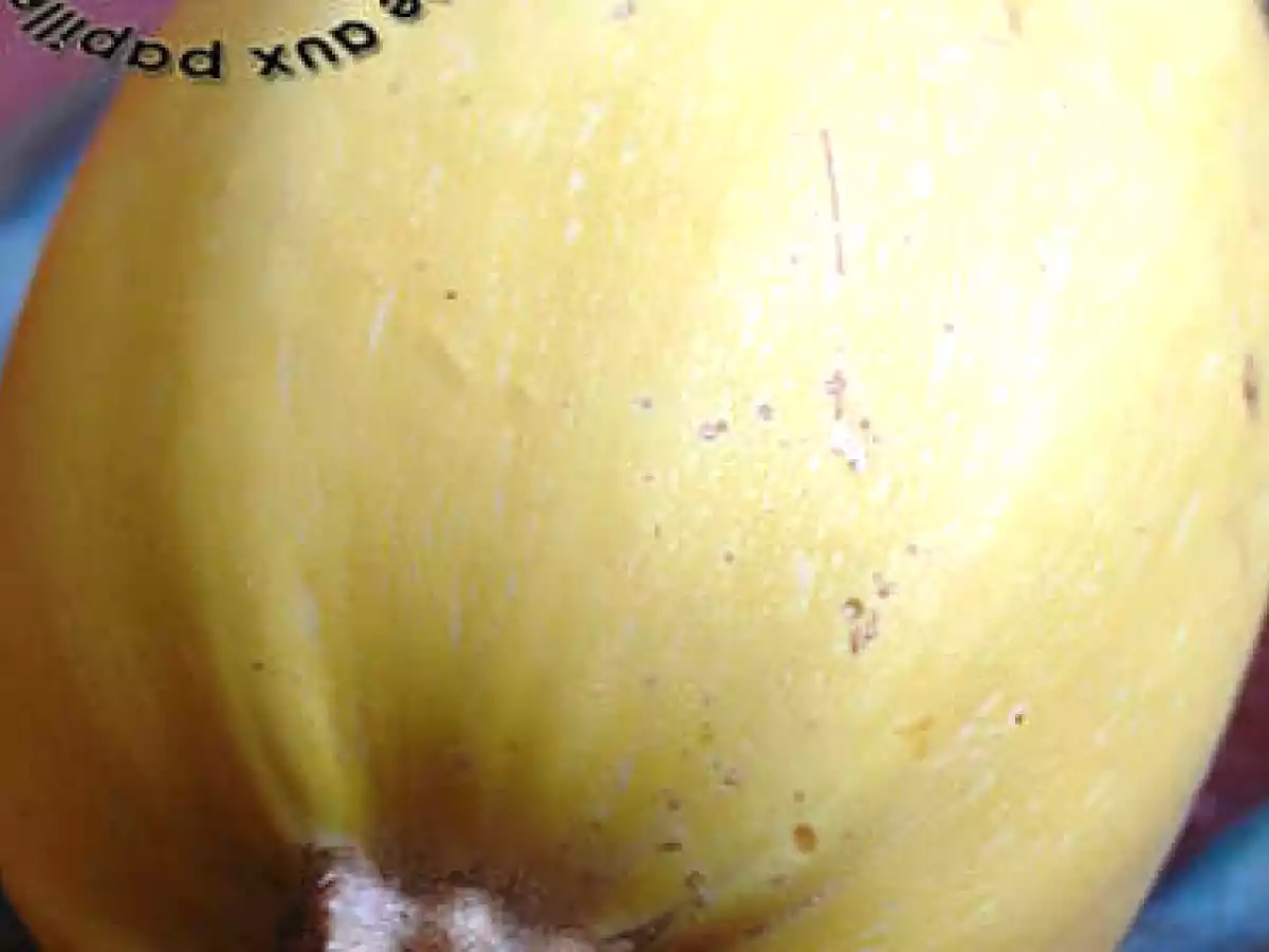 Galettes de courge spaghetti aux oignons et fromage - photo 2