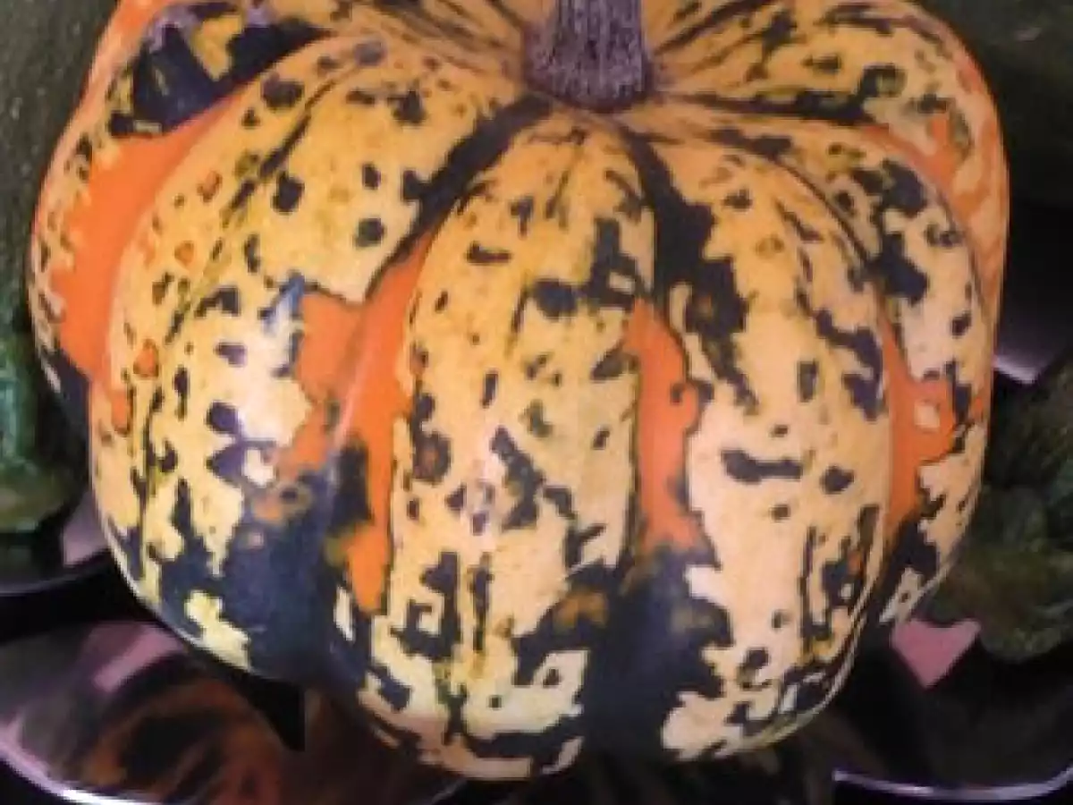 Galettes de patidou - photo 2