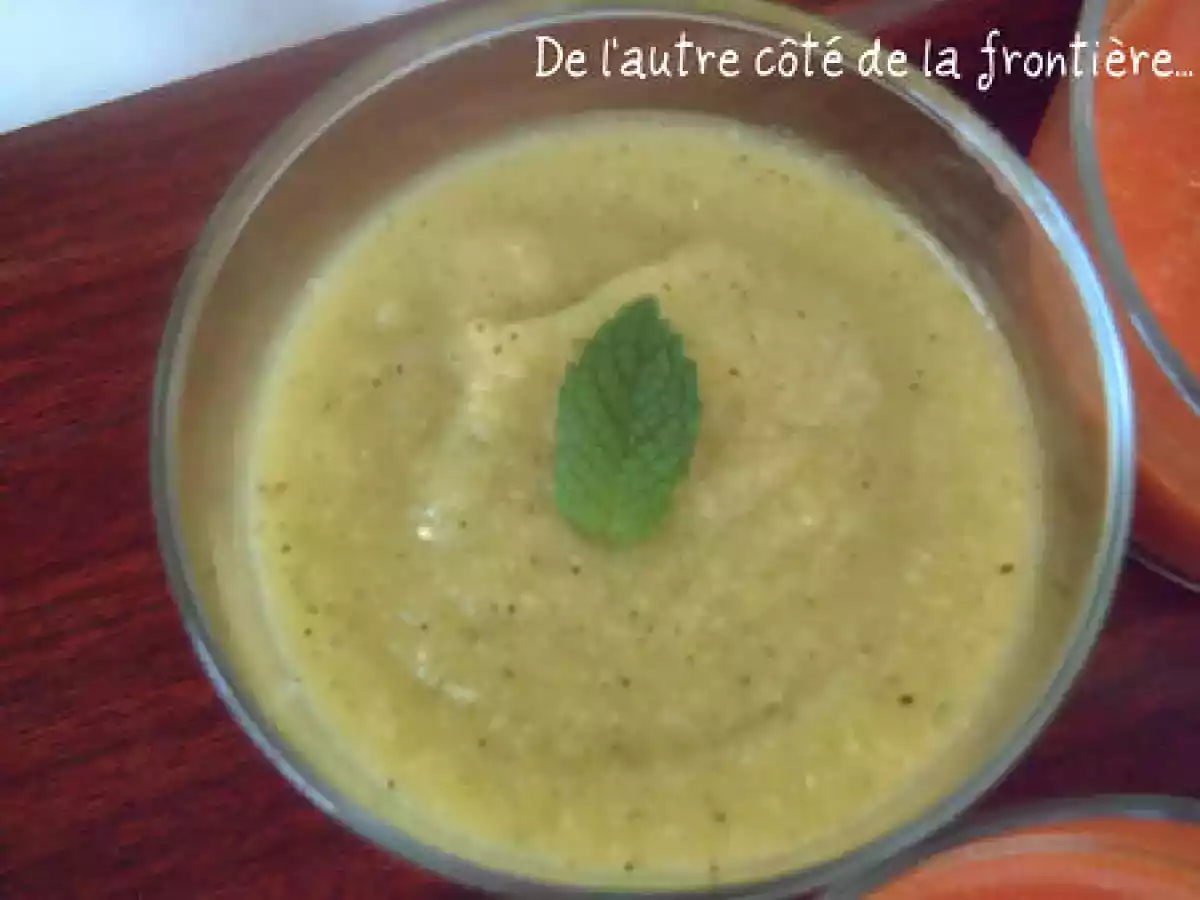 GASPACHO DE COURGETTES bien gourmand