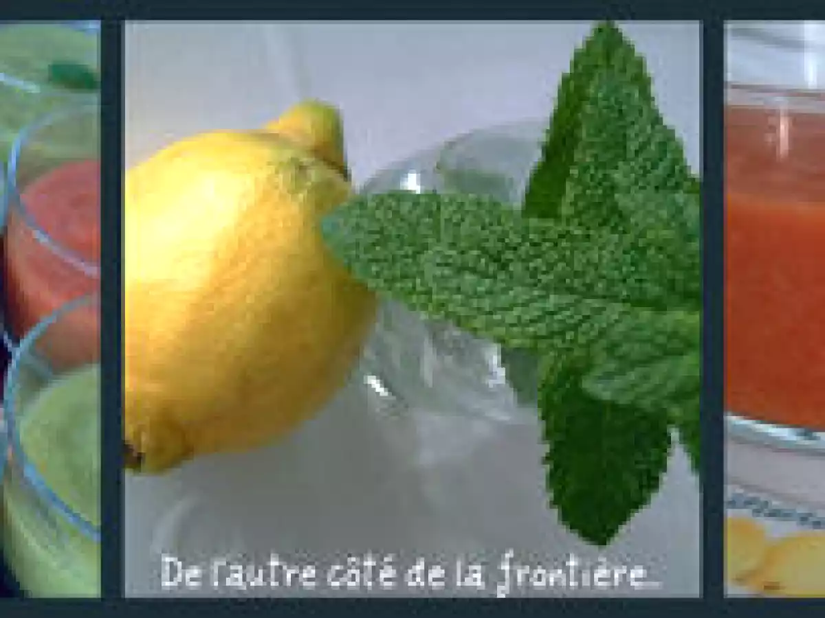 GASPACHO DE COURGETTES bien gourmand - photo 2