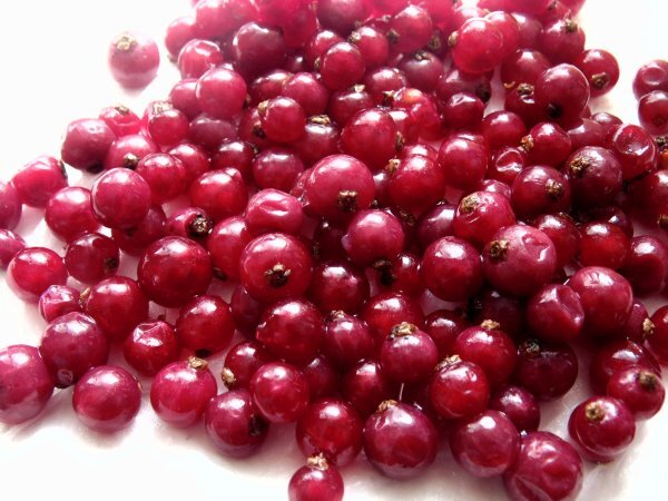 Gateau A L Amande Et Aux Groseilles Recette Ptitchef