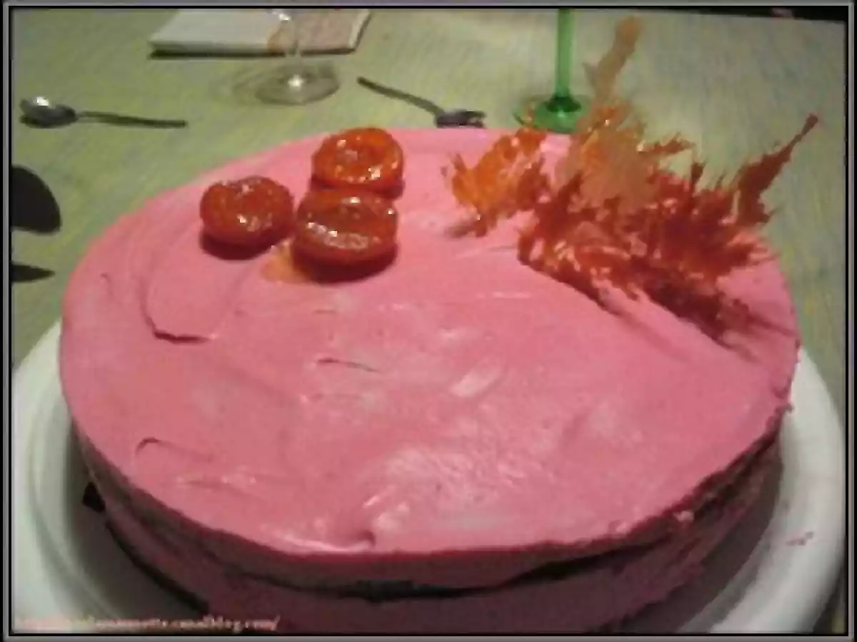 Gâteau à la mousse de groseilles et abricots