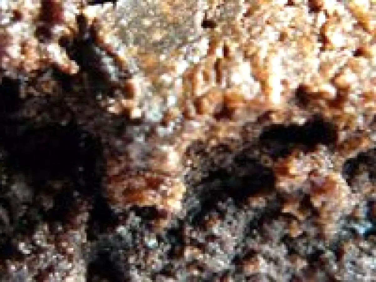 Gâteau à la pâte d'azuki