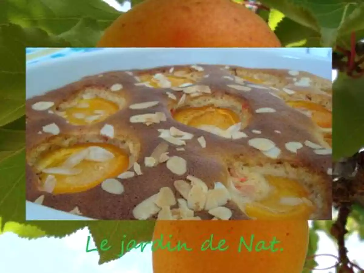 Gâteau abricots au pralines et amandes.