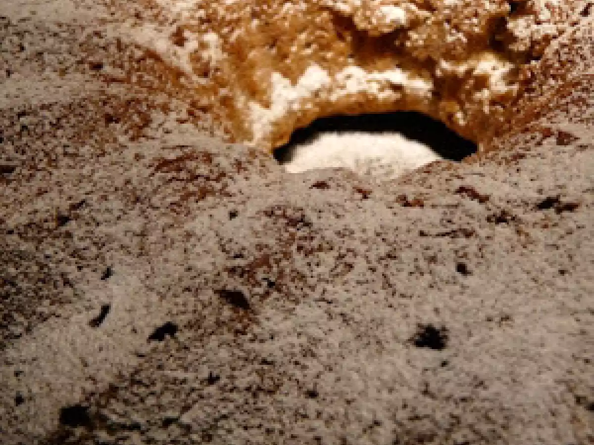 Gateau ambré aux épices douces pour un goûter d'hiver