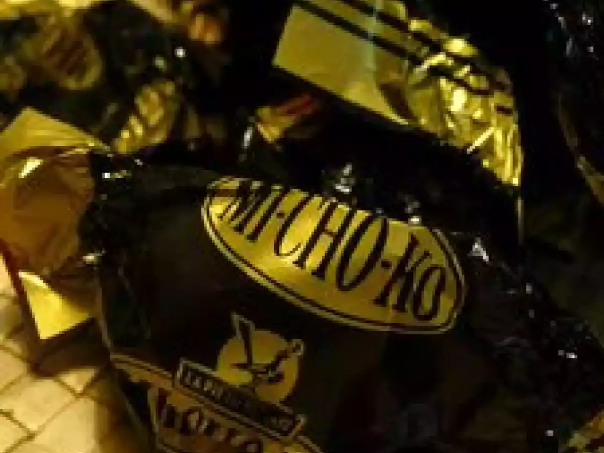 Gâteau au chocolat Bellevue aux michokos - photo 6