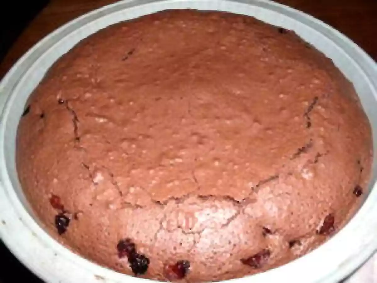GATEAU AU CHOCOLAT ET CRANBERRIES