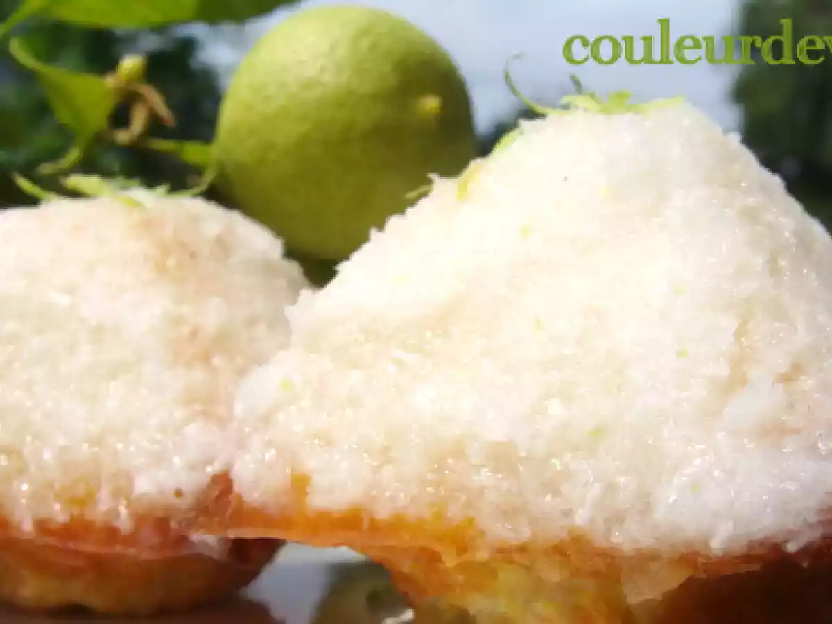 Gâteau au citron et à la noix de coco - photo 2