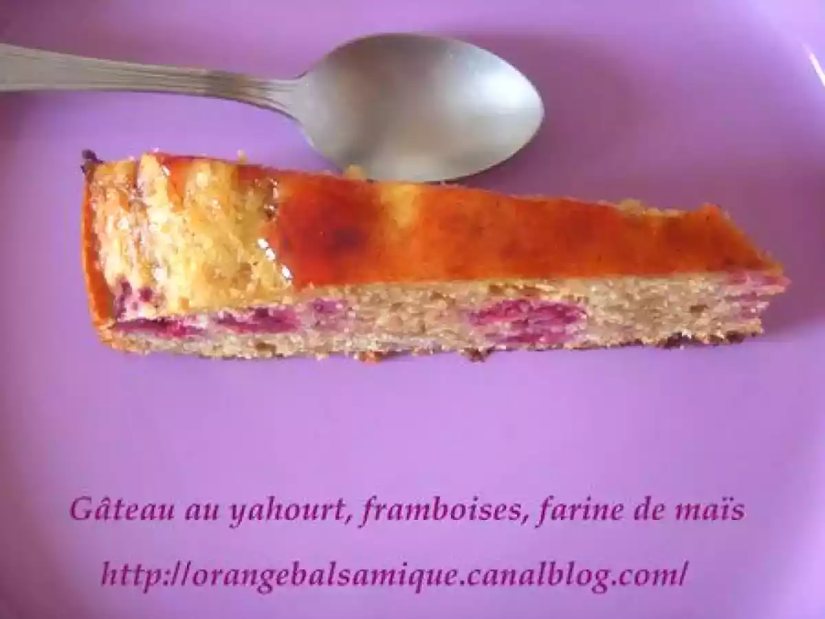 Gâteau au yahourt & aux framboises sans gluten