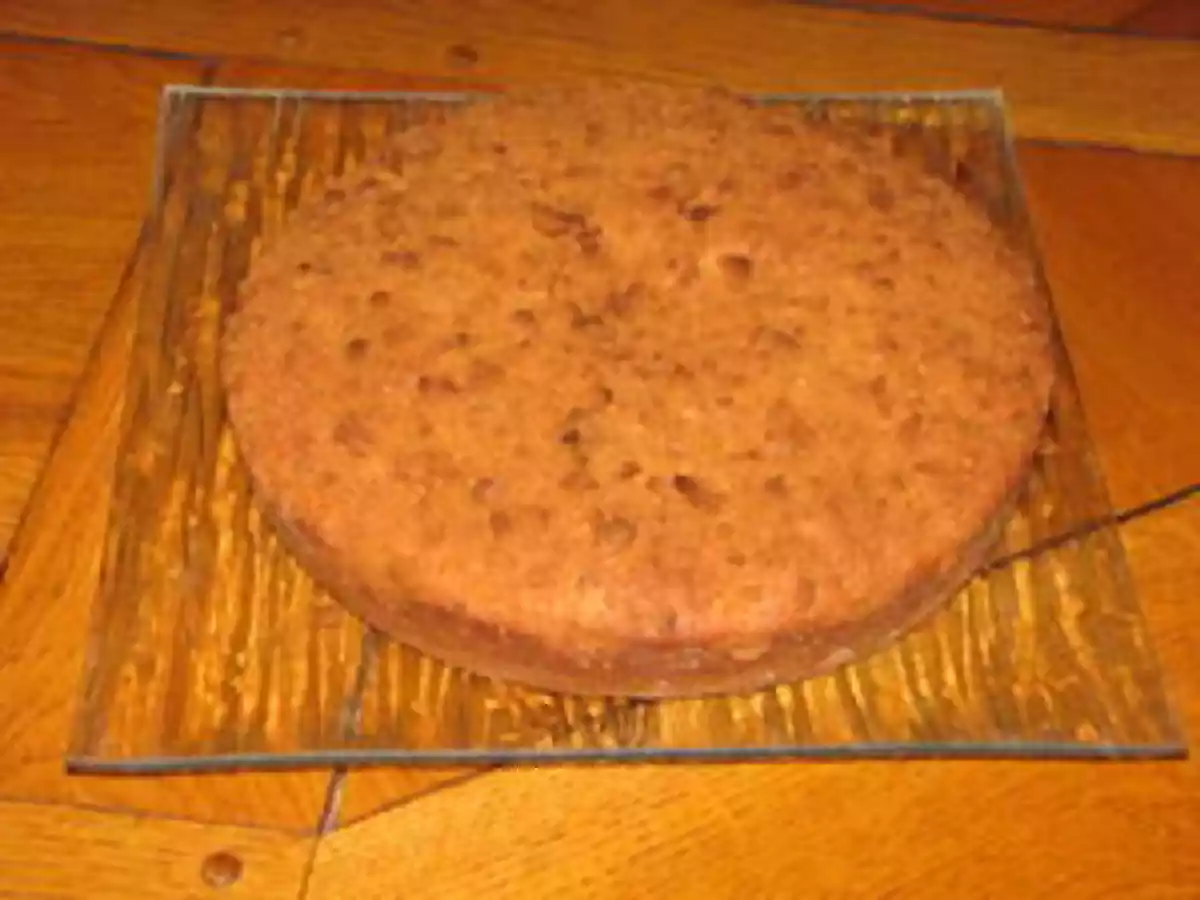 Gâteau au yaourt et spéculoos