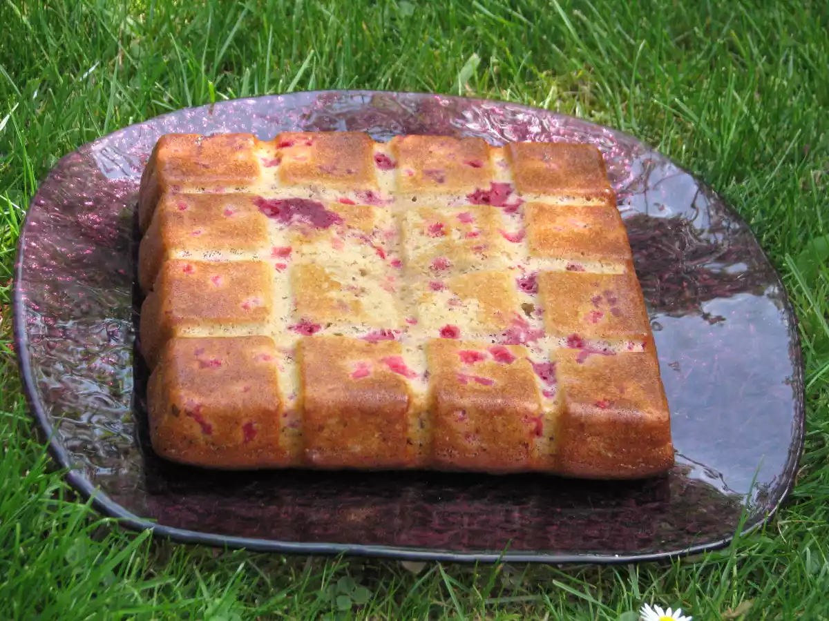 Gâteau aux fruits et au smoothie