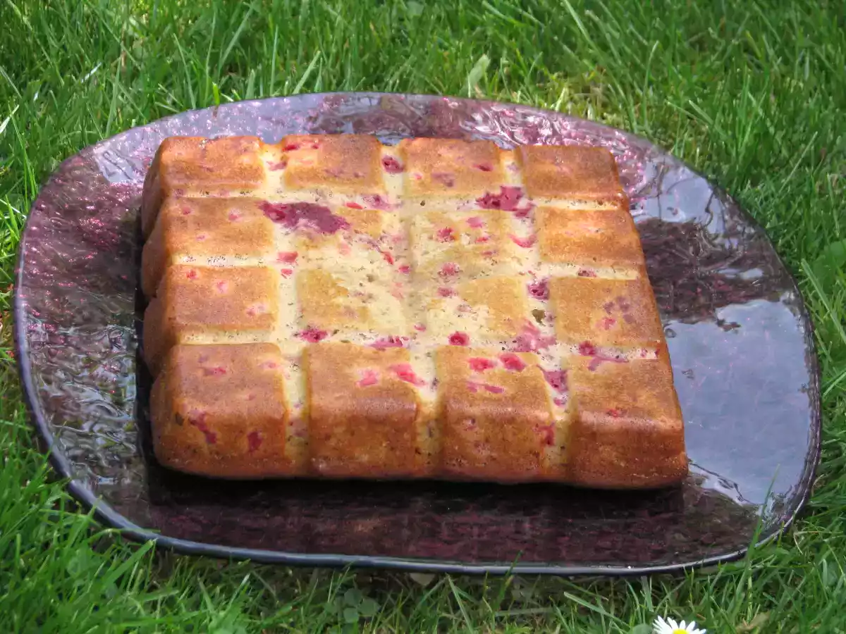 Gâteau aux fruits et au smoothie - photo 2