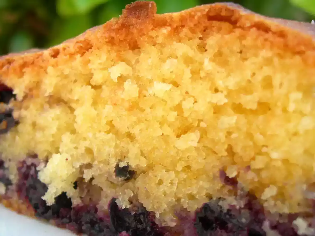 Gâteau aux prunes et noisettes ou gâteau aux amandes et cassis - photo 2