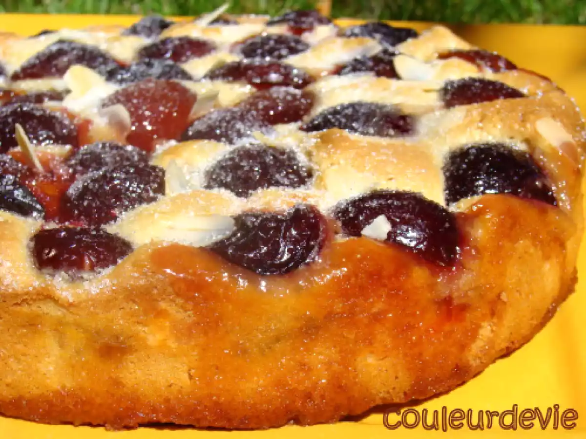 Gâteau aux quetsches (au thermomix) - photo 2