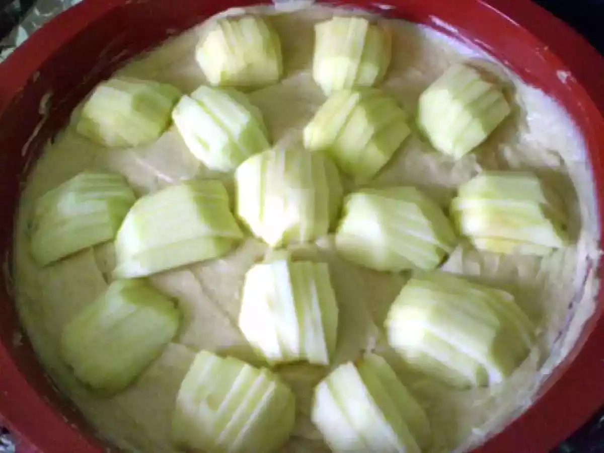 GATEAU BRETON AUX POMMES - photo 5