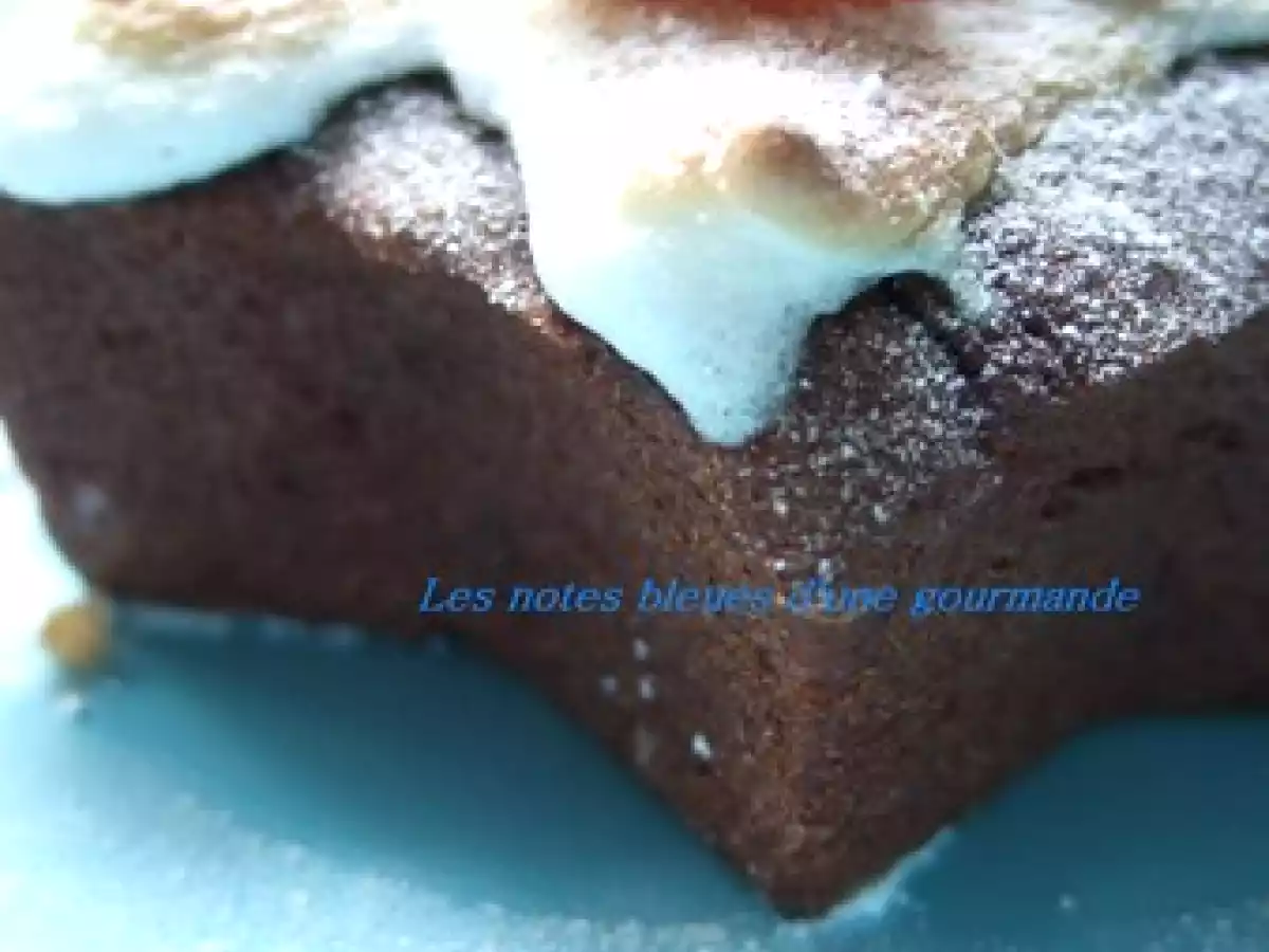 Gâteau choco marron meringué - photo 2