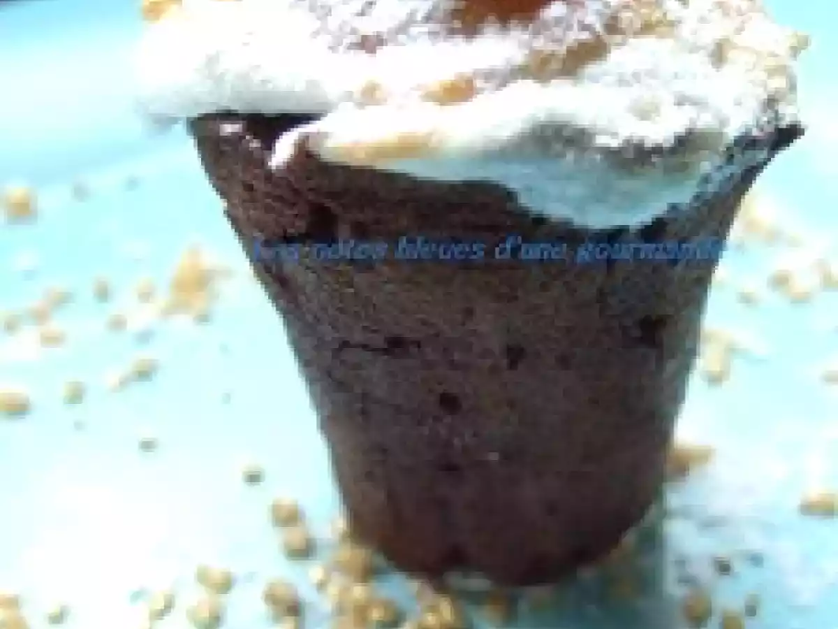 Gâteau choco marron meringué - photo 3