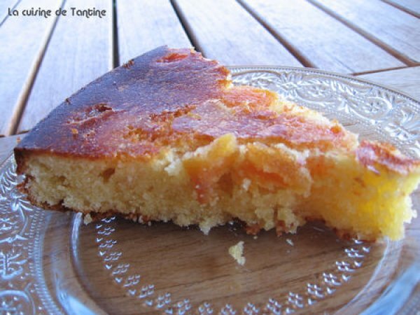 Gateau Chocolat Blanc Abricots Recette Ptitchef