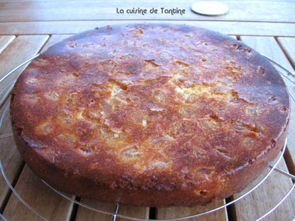Gateau Chocolat Blanc Abricots Recette Ptitchef
