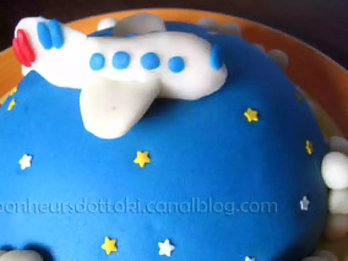 Gâteau d'anniversaire 3D et son avion - photo 2