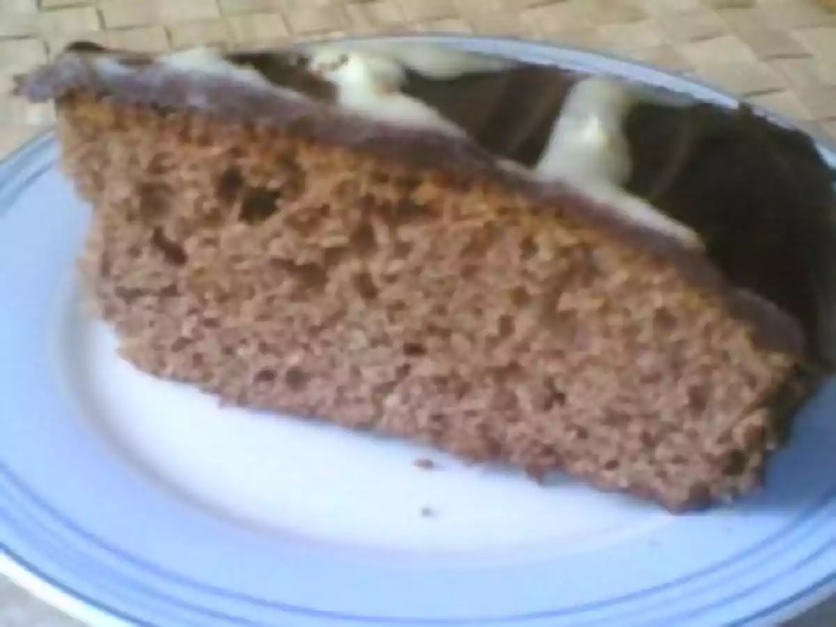 Gâteau danette aux chocolat - photo 2