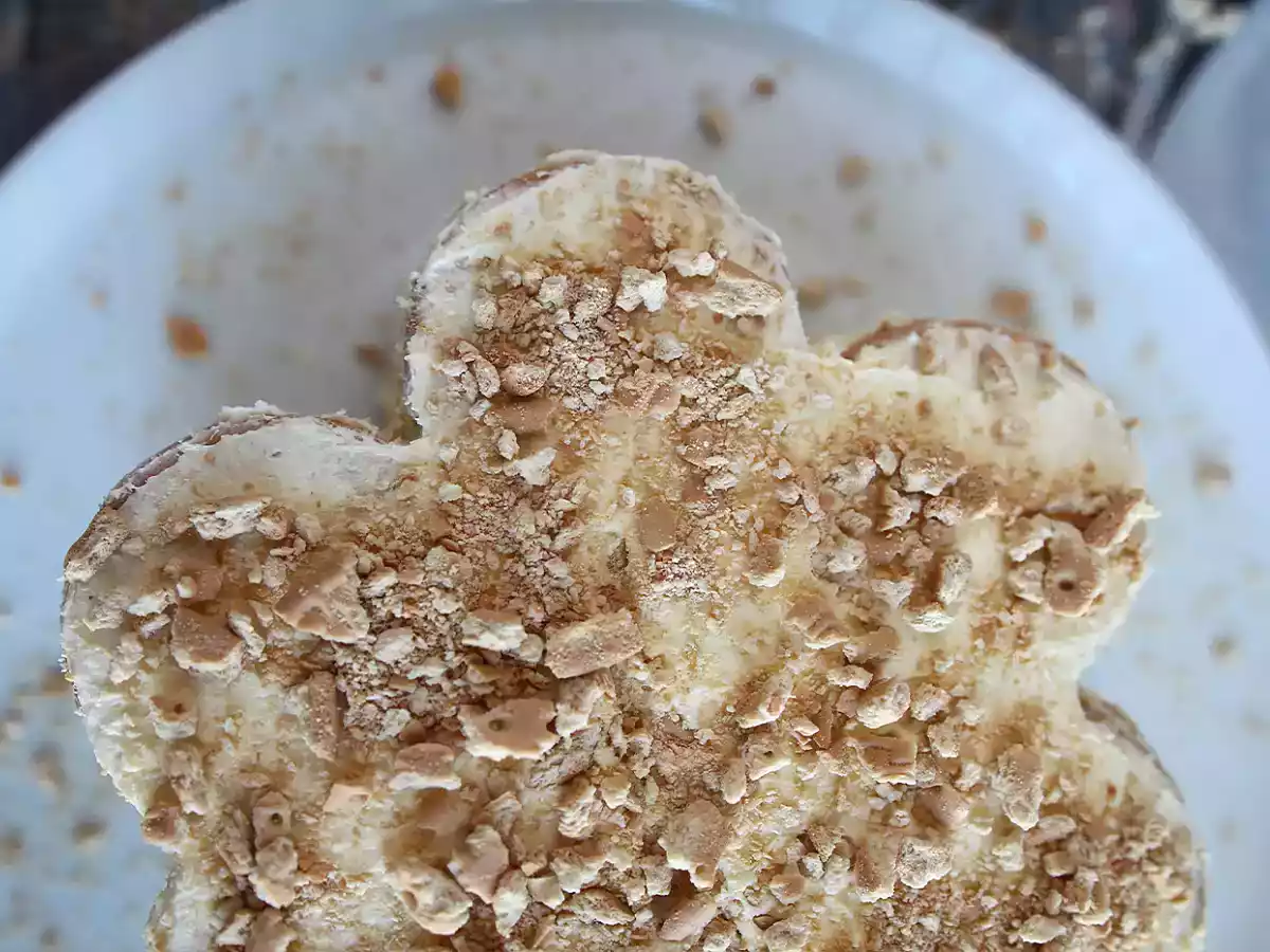 Gâteau de biscuits portugais, bolo de bolacha - photo 3