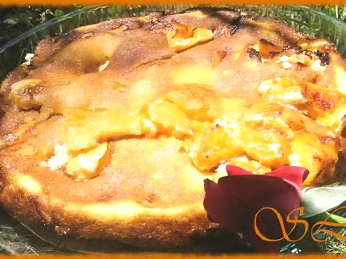 Gâteau de fromage blanc aux abricots - photo 2