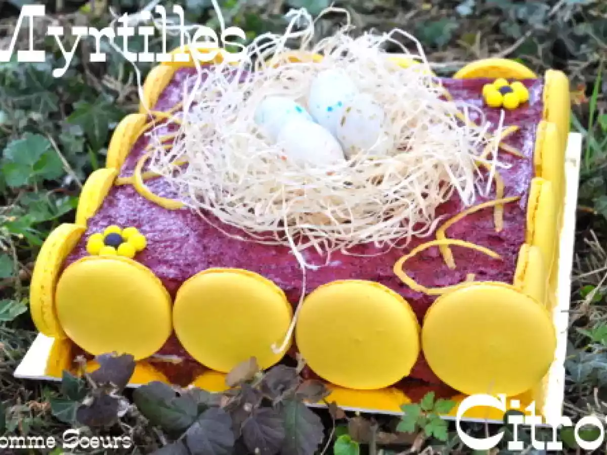 Gâteau de Pâques au citron et aux myrtilles