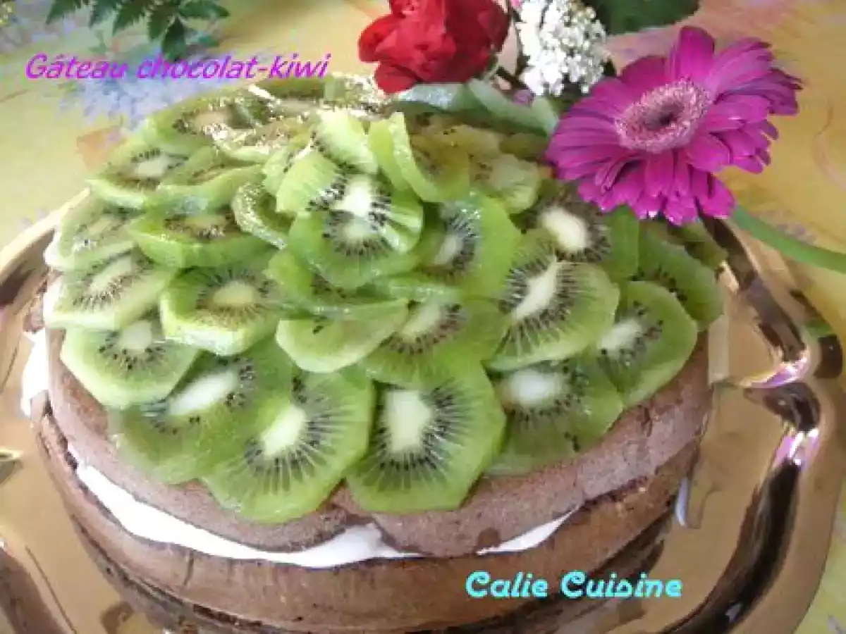 Gâteau de Savoie Chocolat-Kiwi-Chantilly - photo 2