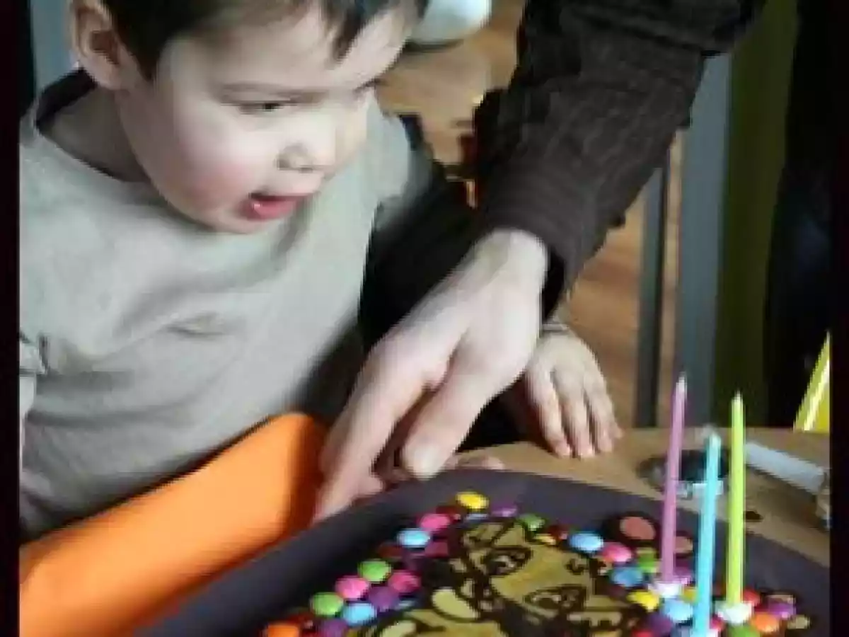 Gâteau du Roi Lion - photo 2