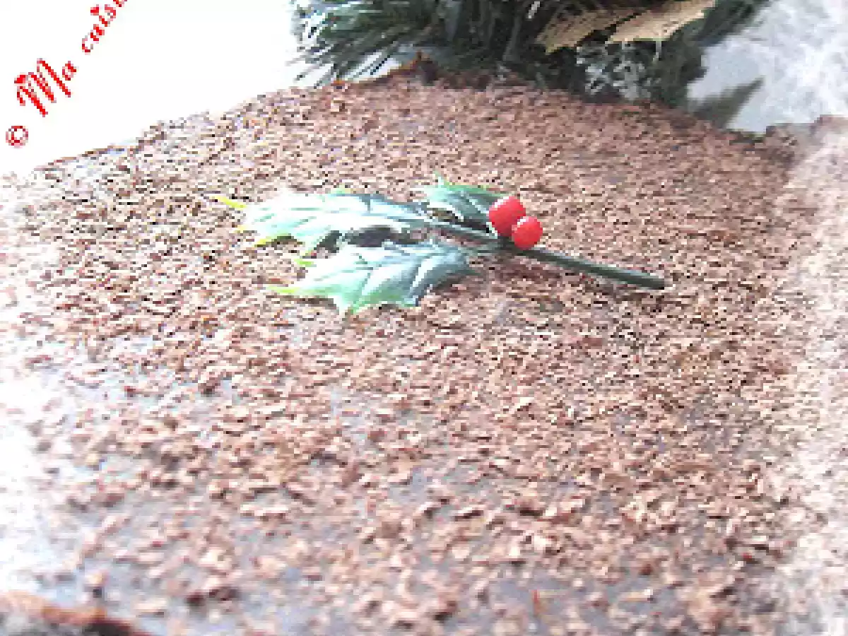 Gâteau glacé au chocolat et aux marrons