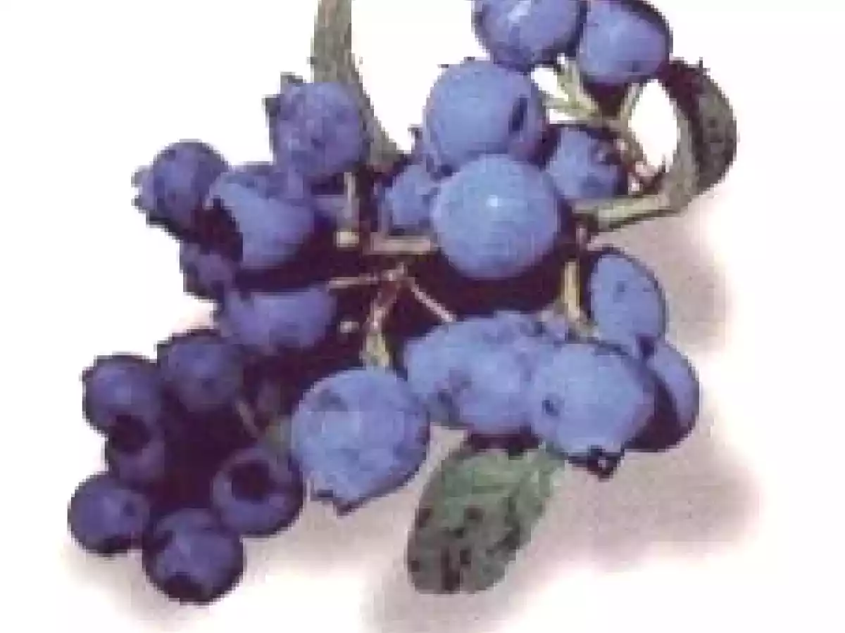 Gâteau léger amandes-myrtilles, 400ème recette ! - photo 3