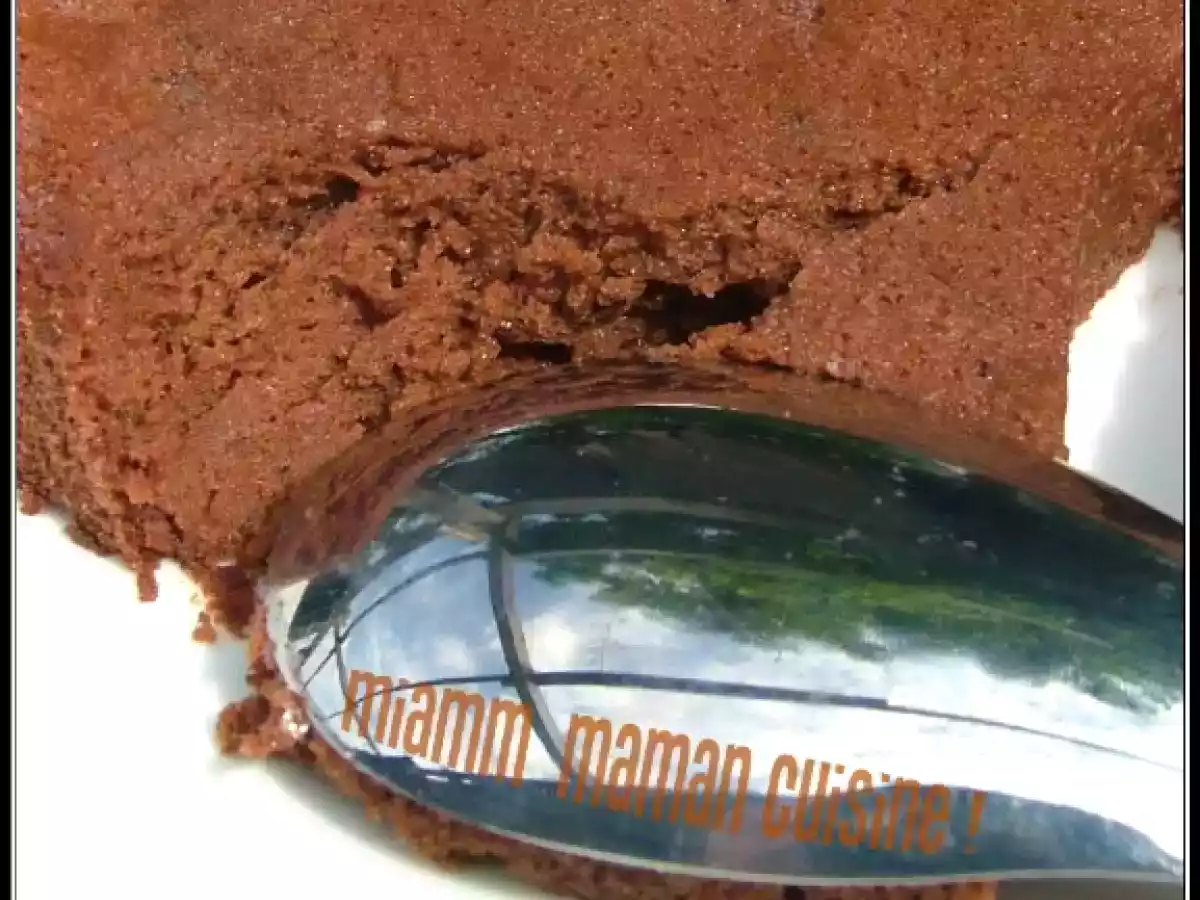 Gâteau léger et mousseux au nutella (sans beurre) - photo 2