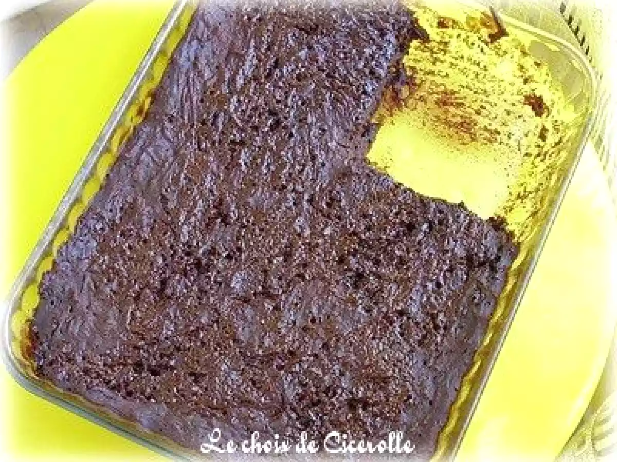 Gâteau moelleux au chocolat et au potiron