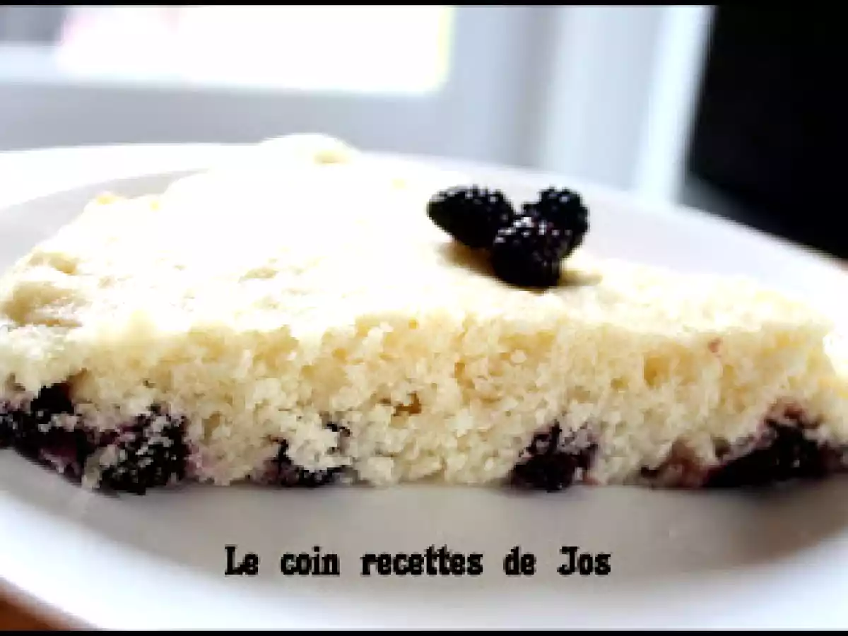 GÂTEAU MOELLEUX AUX MÛRES SAUVAGES